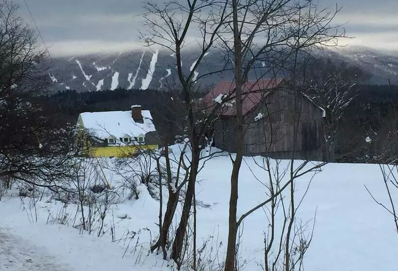 ベッドアンドブレックファースト The Ira Allen House