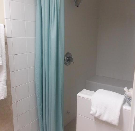 مبيت وإفطار The Magnolia Mansion