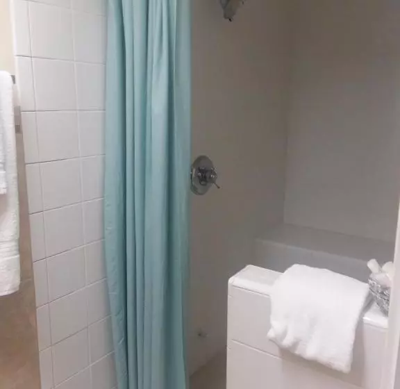 Bed and Breakfast The Magnolia Mansion