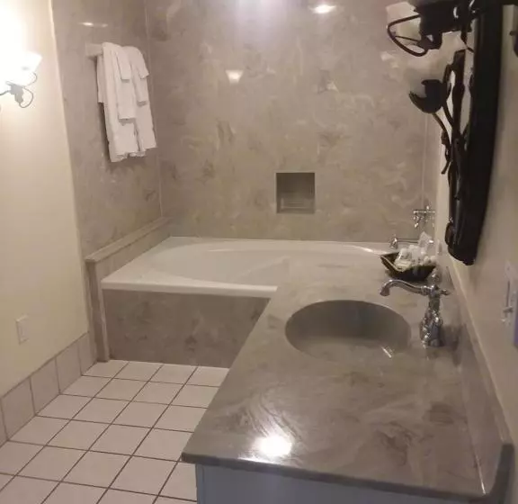 Bed and Breakfast The Magnolia Mansion