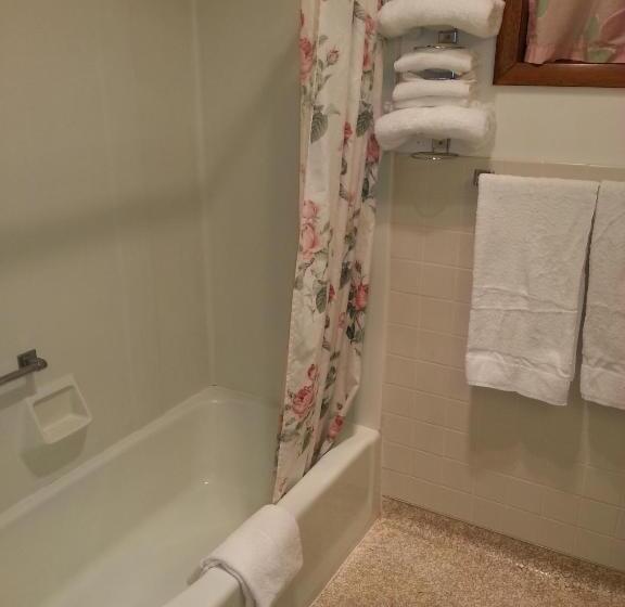 Diamond Motel Abilene