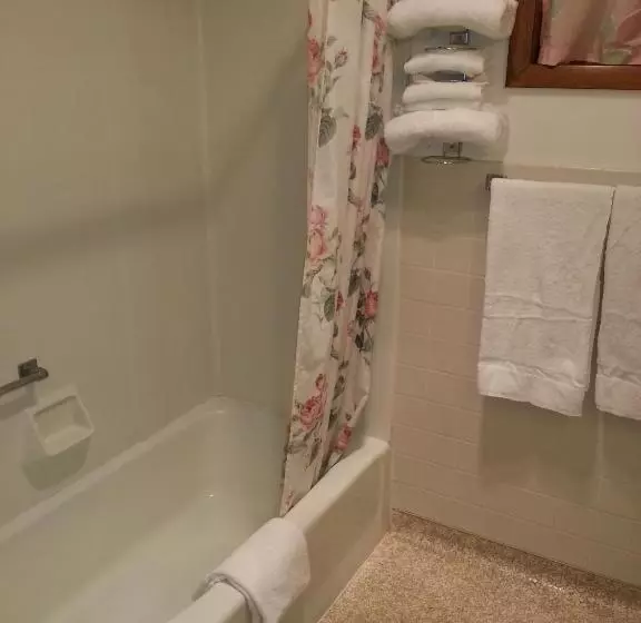 Diamond Motel Abilene