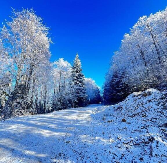 Alseides Boutique Hotel & Spa