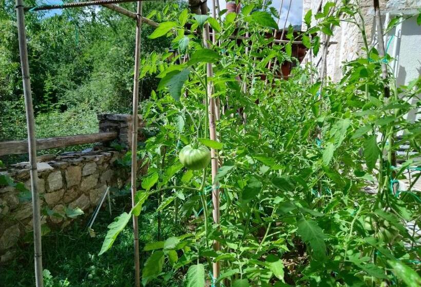 Alseides Boutique Hotel & Spa