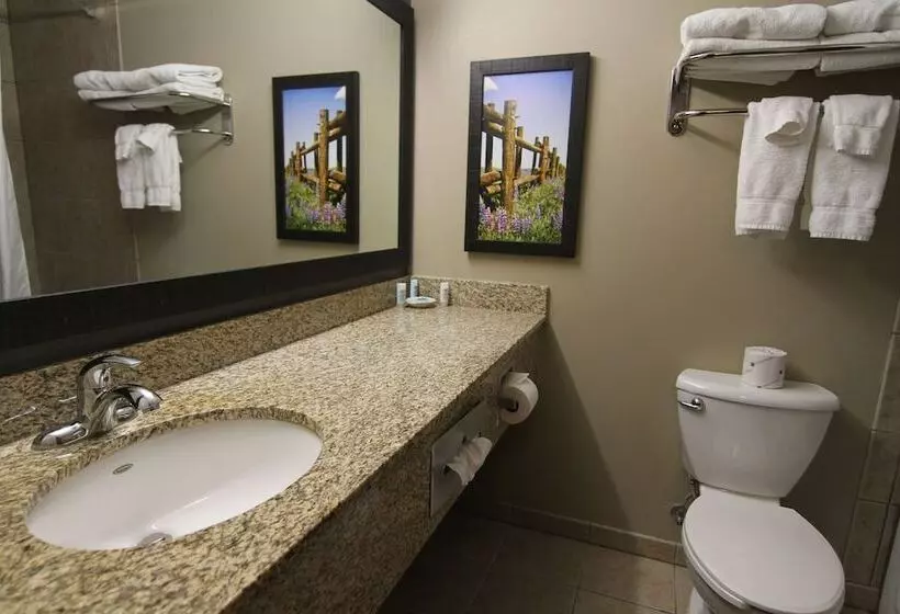 Casper C Mon Inn Hotel & Suites