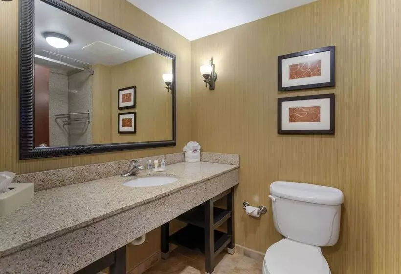 호텔 Comfort Suites Kodak Sevierville