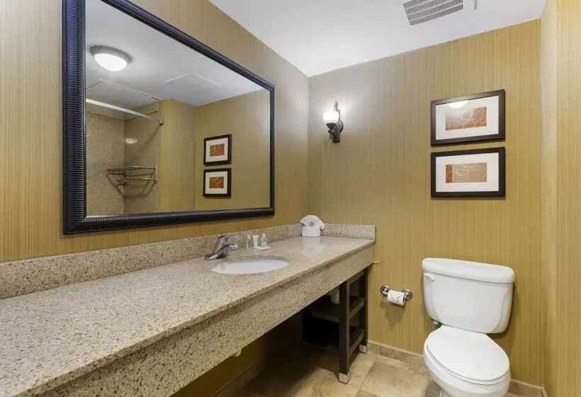 호텔 Comfort Suites Kodak Sevierville