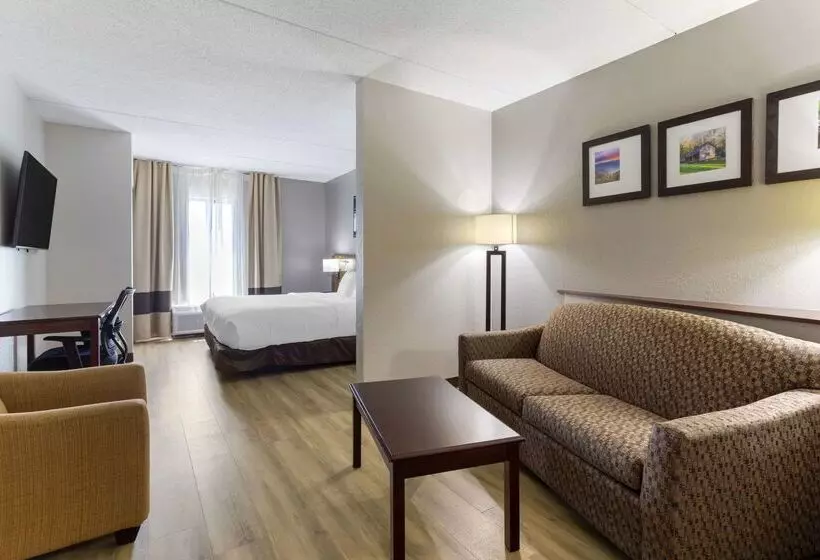 호텔 Comfort Suites Kodak Sevierville
