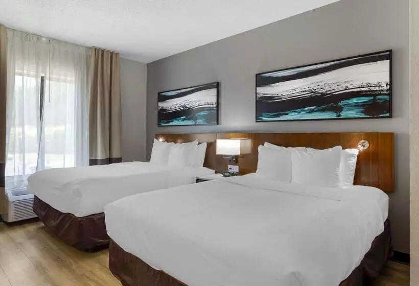 호텔 Comfort Suites Kodak Sevierville