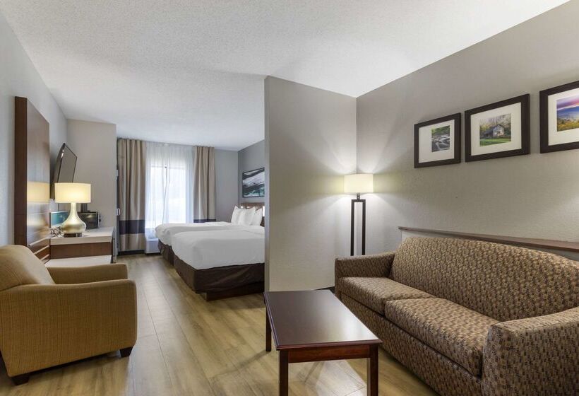Отель Comfort Suites Kodak Sevierville