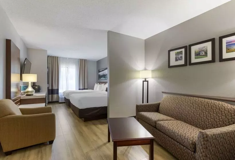 호텔 Comfort Suites Kodak Sevierville