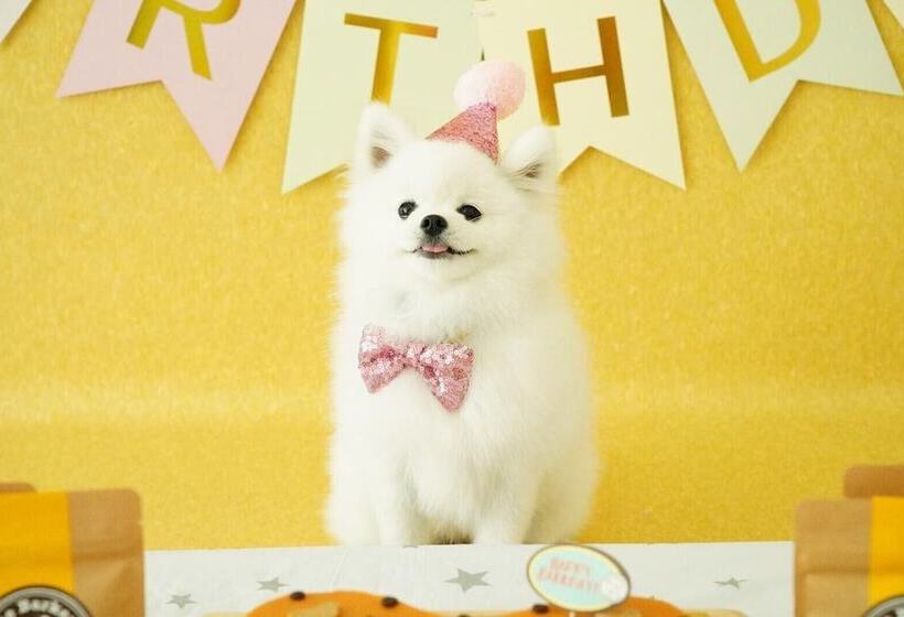 酒店 Holiday Inn Express Times Square South, An Ihg