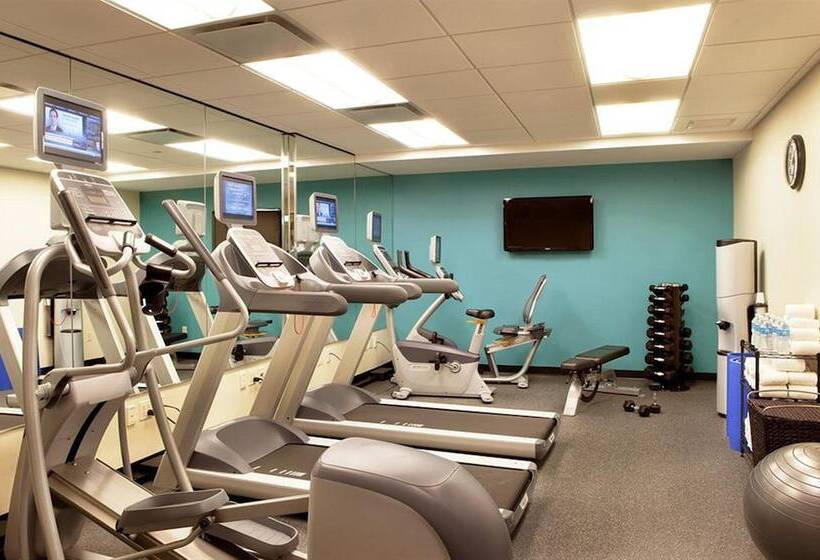 酒店 Holiday Inn Express Times Square South, An Ihg