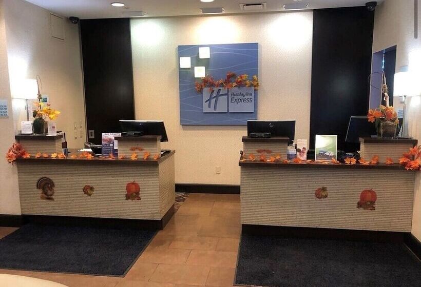 酒店 Holiday Inn Express Times Square South, An Ihg