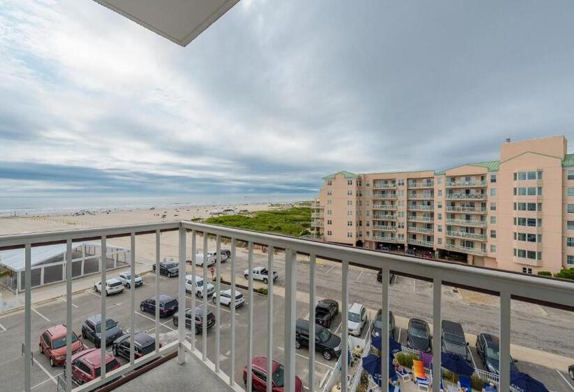 فندق Icona Diamond Beach