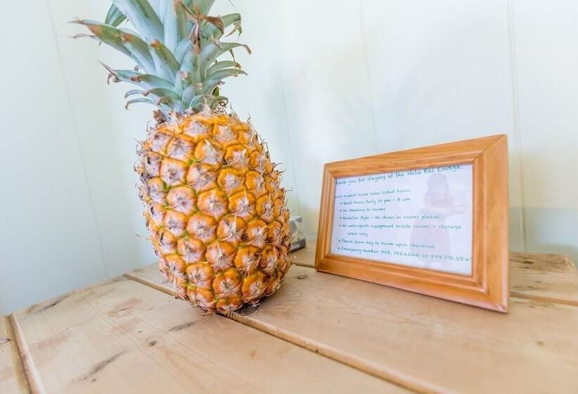 호텔 Nalu Kai Lodge