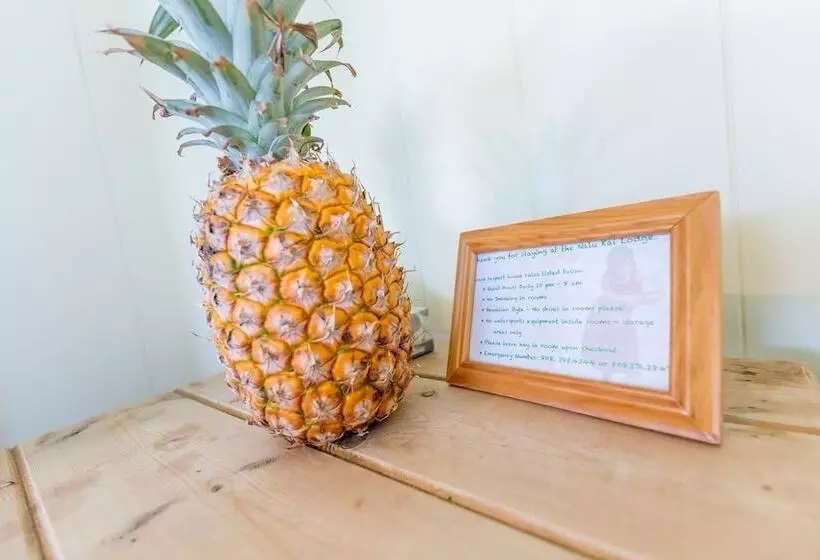 ホテル Nalu Kai Lodge