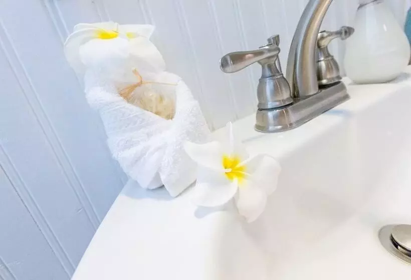 ホテル Nalu Kai Lodge