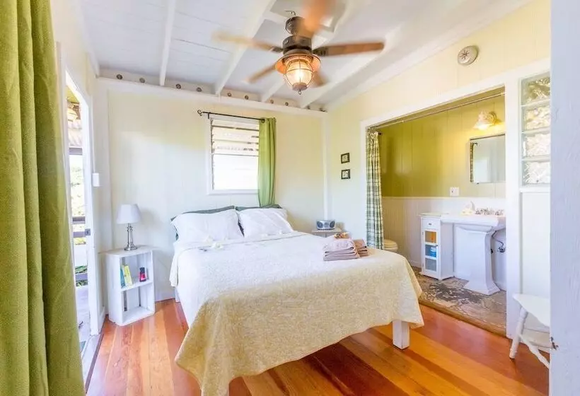 ホテル Nalu Kai Lodge