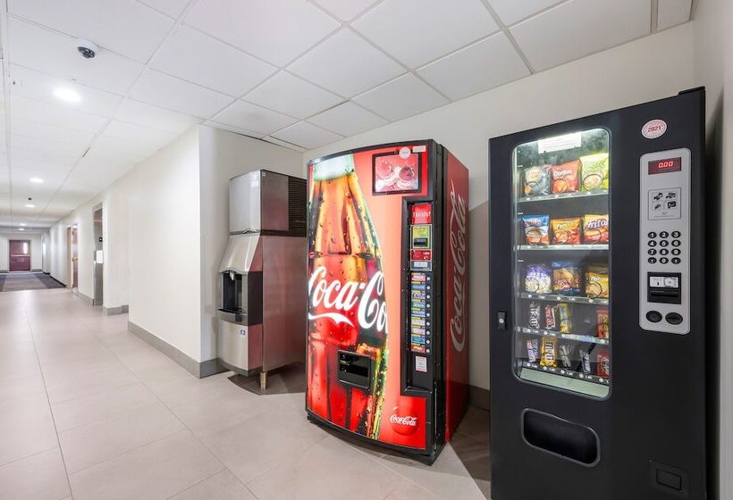 酒店 Red Roof Inn Plus & Suites Birmingham   Bessemer