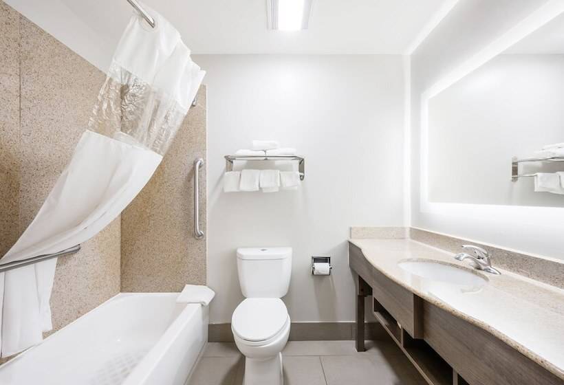 酒店 Red Roof Inn Plus & Suites Birmingham   Bessemer