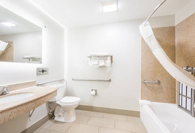 酒店 Red Roof Inn Plus & Suites Birmingham   Bessemer