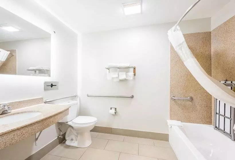 酒店 Red Roof Inn Plus & Suites Birmingham   Bessemer