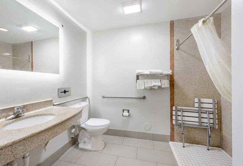 酒店 Red Roof Inn Plus & Suites Birmingham   Bessemer