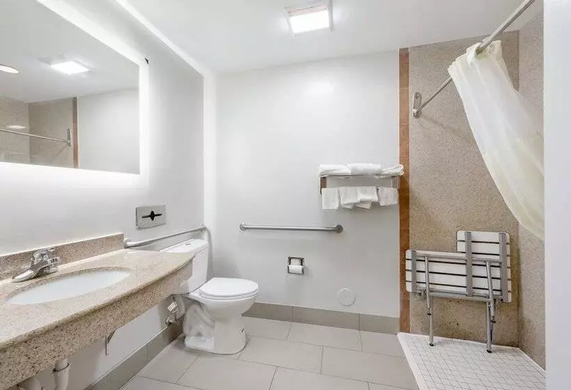 酒店 Red Roof Inn Plus & Suites Birmingham   Bessemer