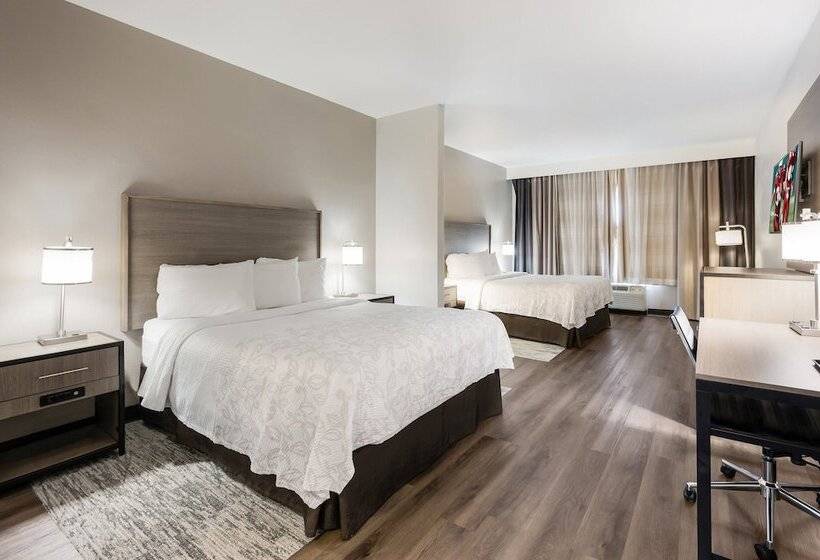 酒店 Red Roof Inn Plus & Suites Birmingham   Bessemer