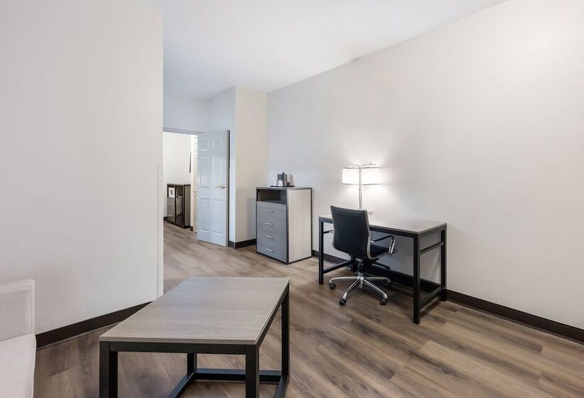 酒店 Red Roof Inn Plus & Suites Birmingham   Bessemer