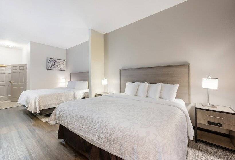 酒店 Red Roof Inn Plus & Suites Birmingham   Bessemer