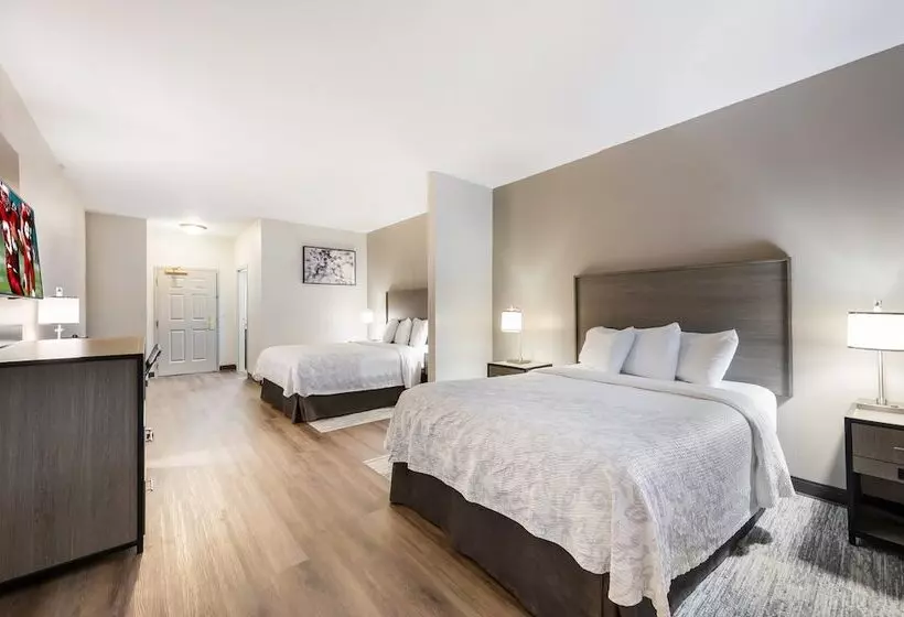 酒店 Red Roof Inn Plus & Suites Birmingham   Bessemer