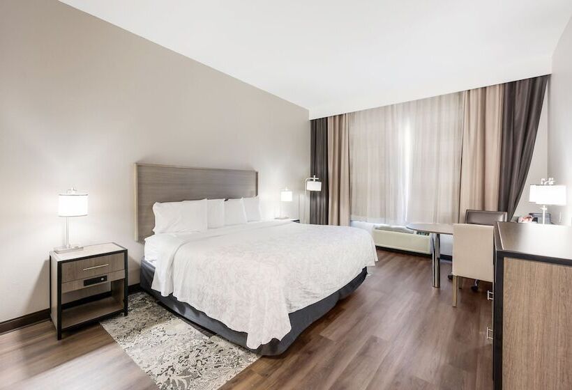 酒店 Red Roof Inn Plus & Suites Birmingham   Bessemer