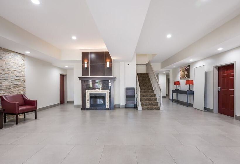 酒店 Red Roof Inn Plus & Suites Birmingham   Bessemer