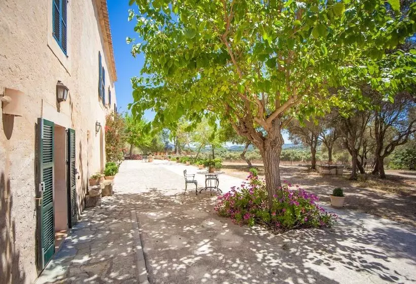 בית מלון כפרי Agroturismo Son Not