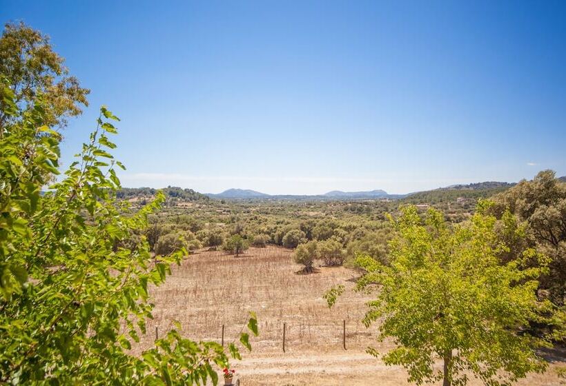 בית מלון כפרי Agroturismo Son Not