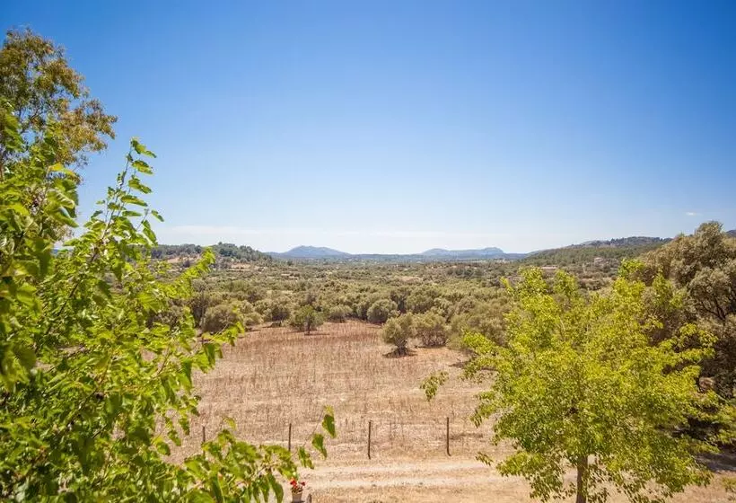 בית מלון כפרי Agroturismo Son Not