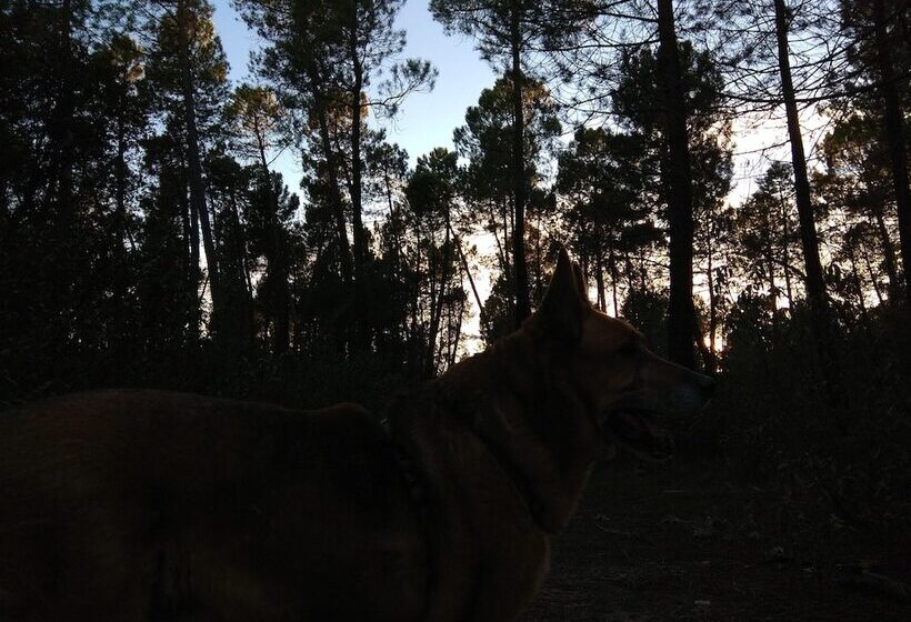 교외 호텔 Rural Arco Iris