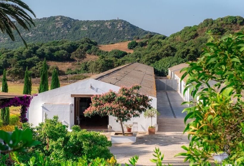 Сельский отель Rural Sant Patrici