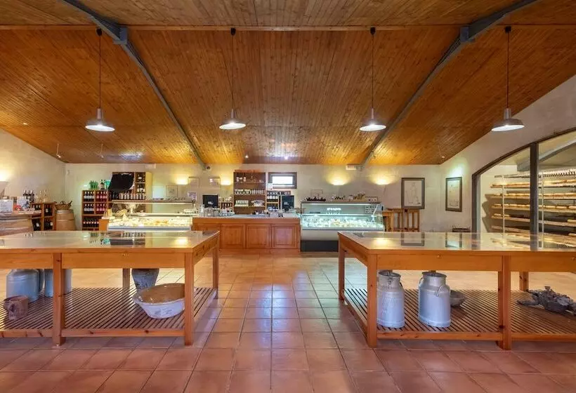 田舎風ホテル Rural Sant Patrici