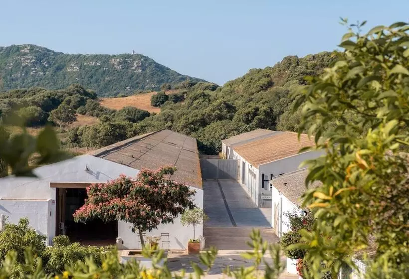 田舎風ホテル Rural Sant Patrici