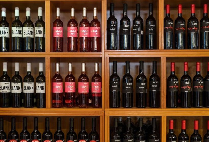 Сельский отель Rural Sant Patrici