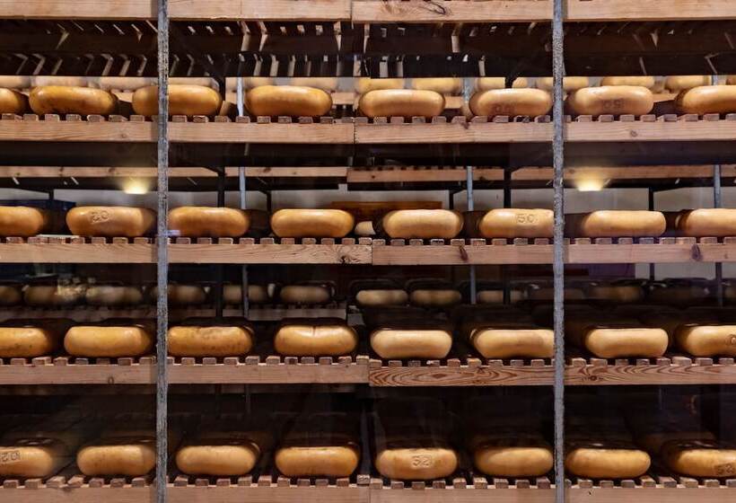 Сельский отель Rural Sant Patrici