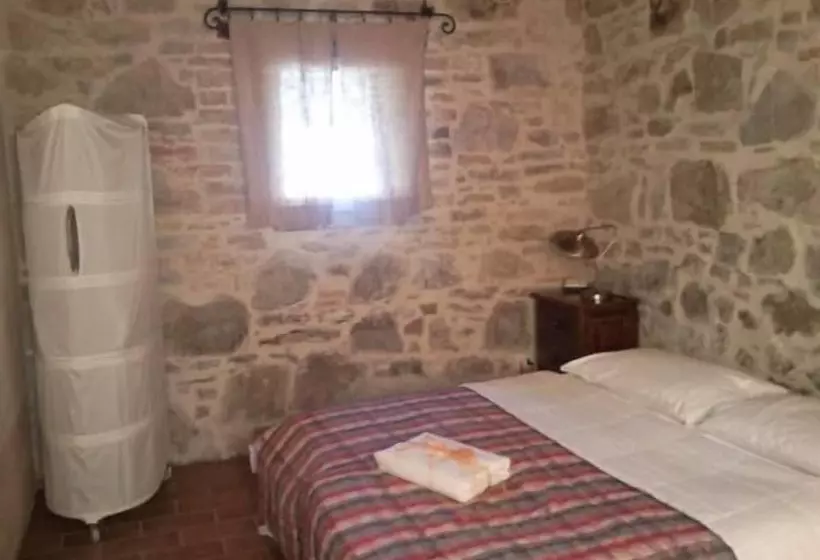 Le More E I Gelsomini