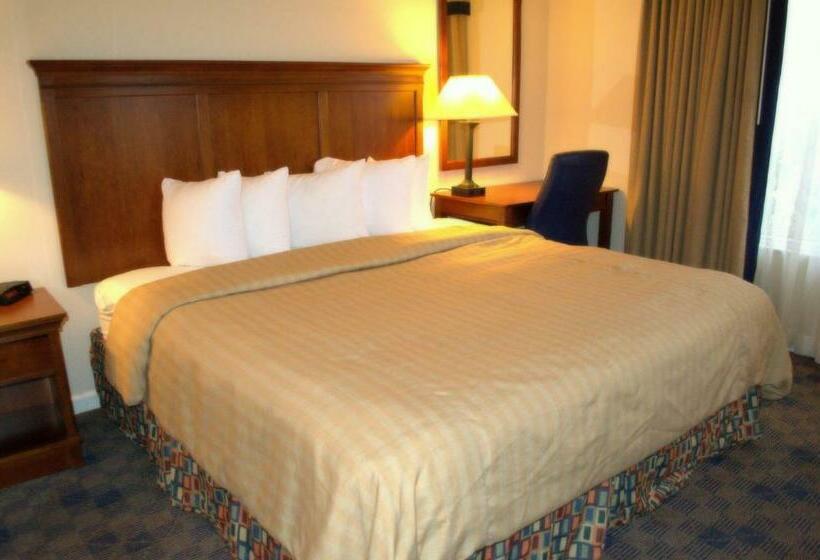 酒店 Charwood Suites