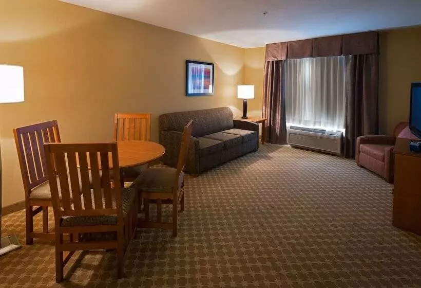 Holiday Inn Express Hotel & Suites Chicago West Roselle, An Ihg