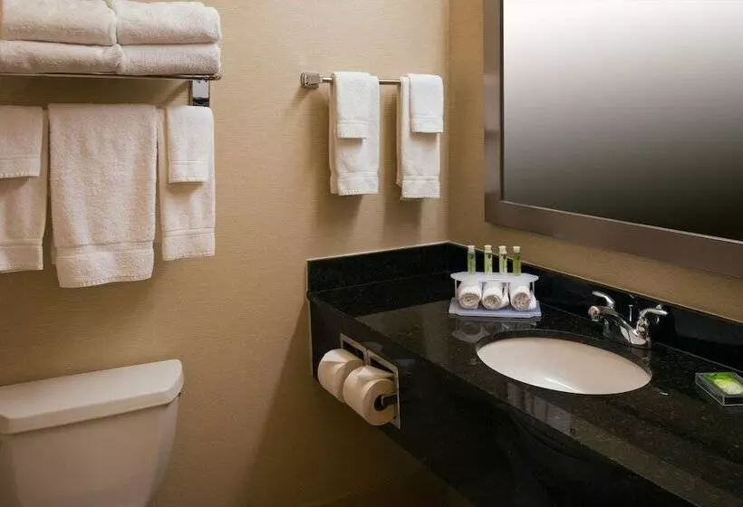 Holiday Inn Express Hotel & Suites Chicago West Roselle, An Ihg
