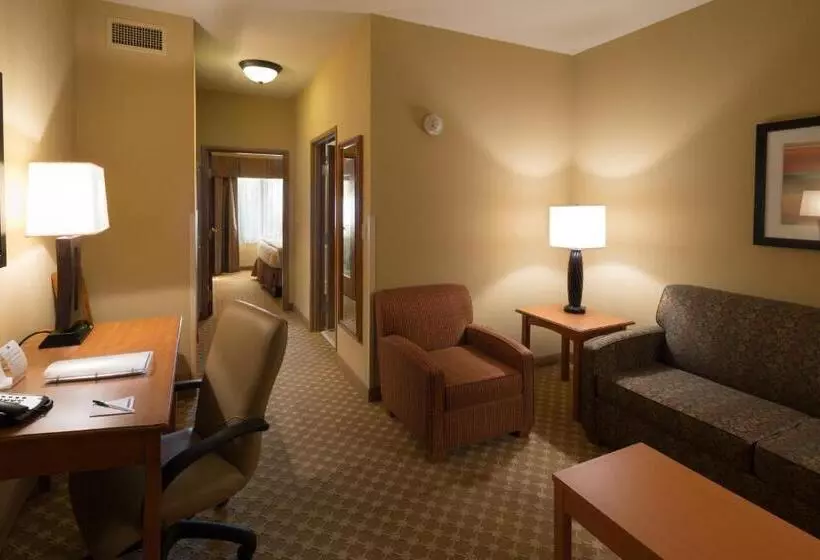 Holiday Inn Express Hotel & Suites Chicago West Roselle, An Ihg