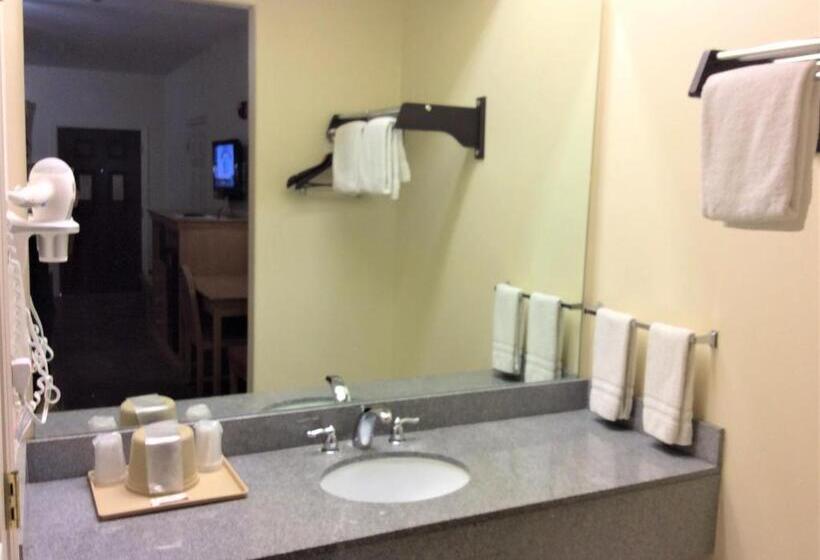 فندق على الطريق Texas Inn  Welasco/mercedes